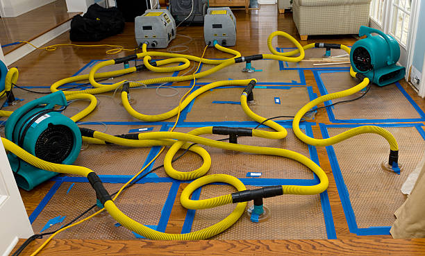 Professional Burst Pipe Water Damage technician working in Fort Loramie, OH